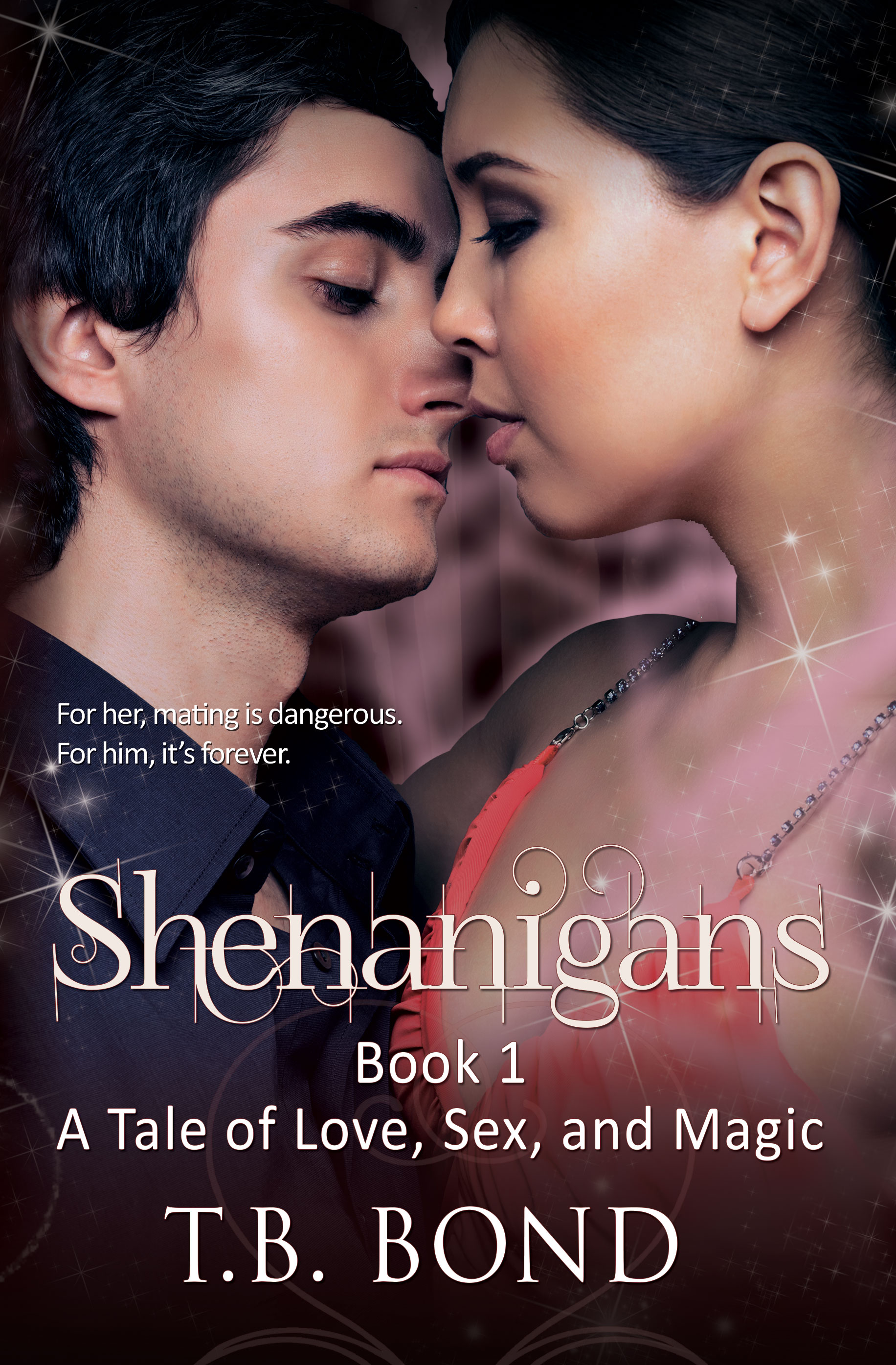 Shenanigans Book Cover